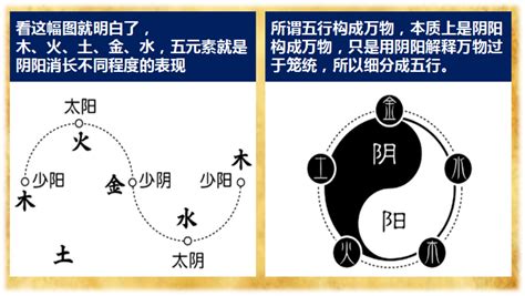 五行合化表